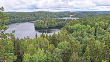 Pieni kieros Suomessa 2024